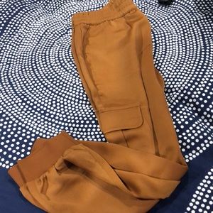 Brand New Banana Republic Satin Joggers